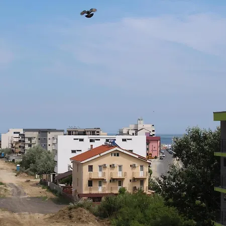 Lyvan's Wild - Mamaia Nord *